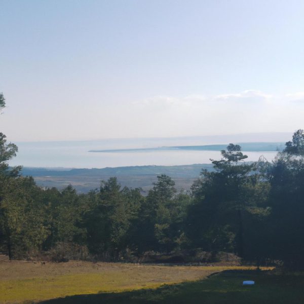 Ruyada Tanimadigin Birine Yardim Etmek