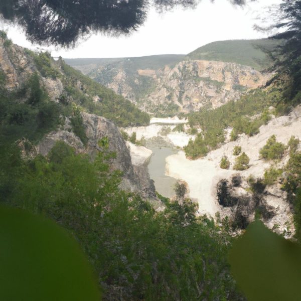 Ruyada Tanimadigin Insanlari Gormek