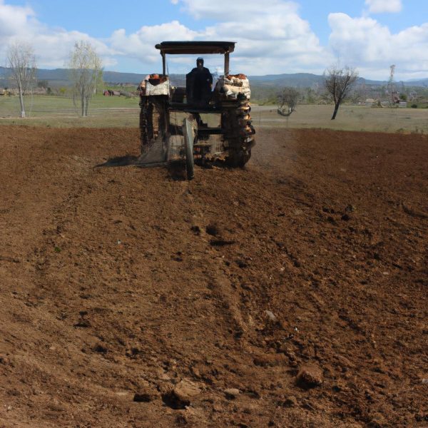 Ruyada Tarlada Calismak