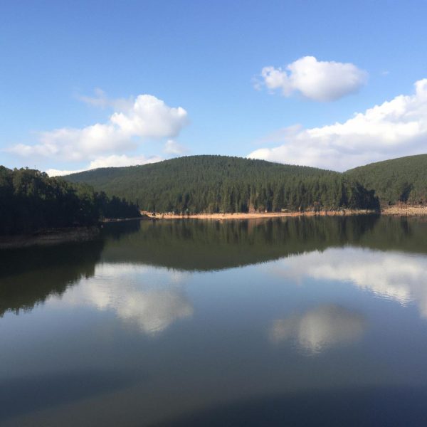 Ruyada Tavsan Oldurmek