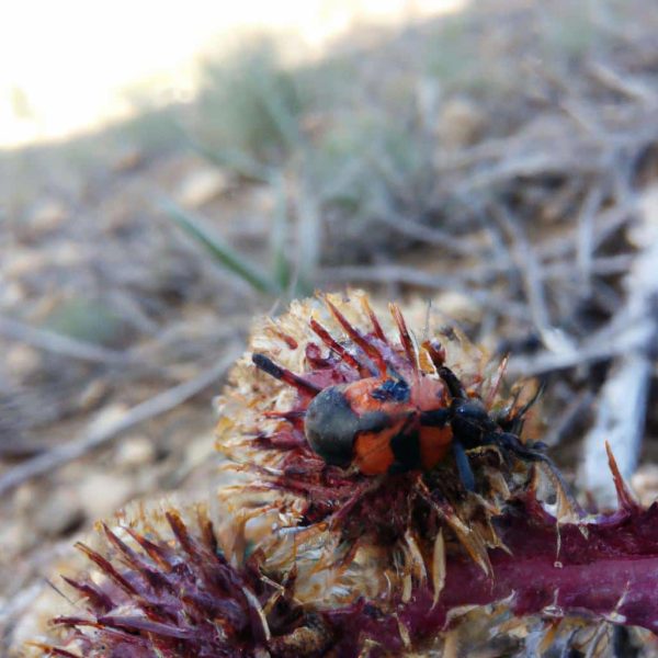 Ruyada Tecavuze Ugramak