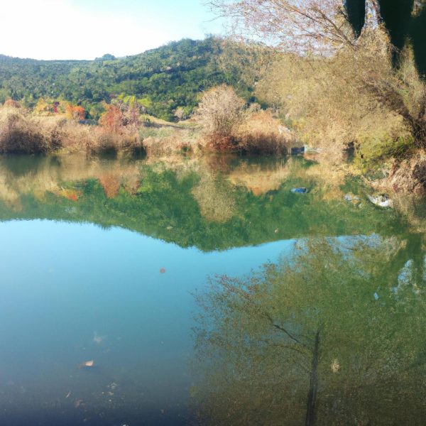 Ruyada Teknede Olmak