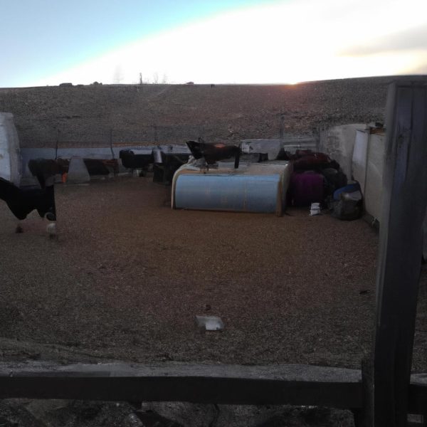 Ruyada Tir Kazasi Gormek