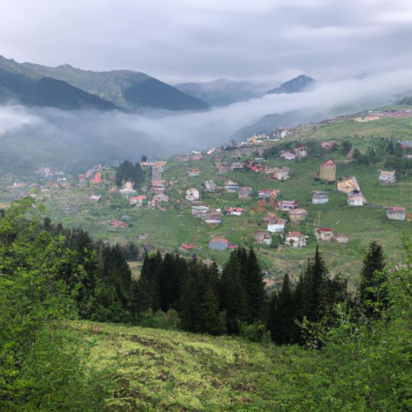 Ruyada Trabzon Hurmasi Gormek