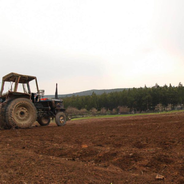 Ruyada Traktore Binmek