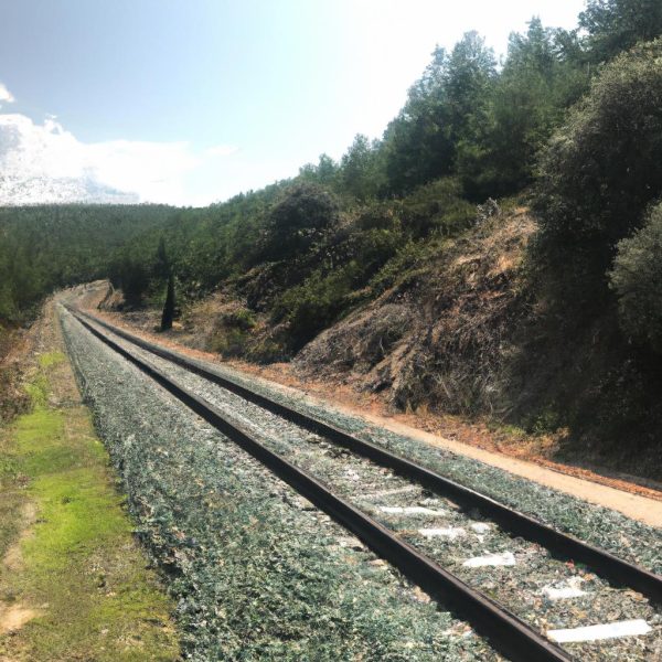 Ruyada Tren Yolu Gormek