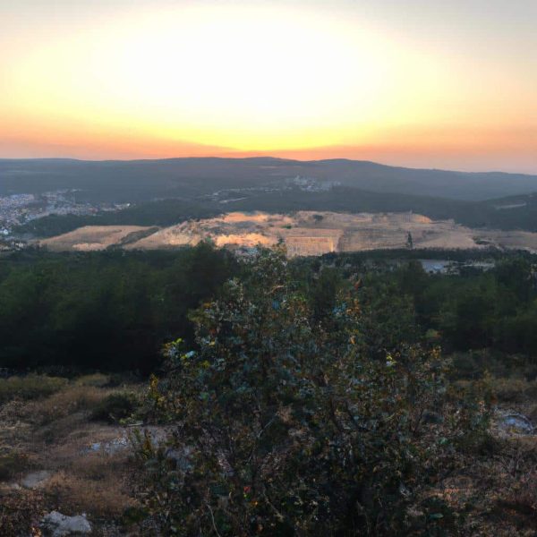 Ruyada Tutuklandigini Gormek