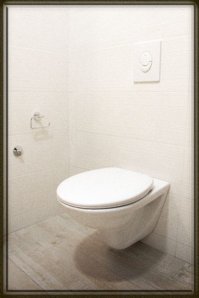 Rüyada Tuvalet Görmek