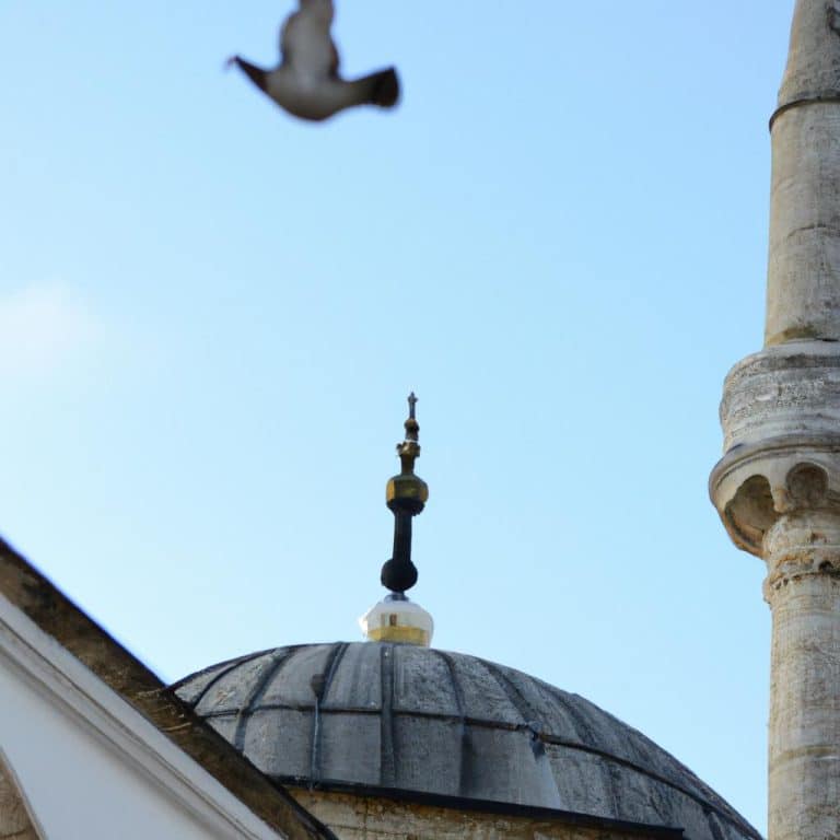 Ruyada Ucaga Binmek Diyanet
