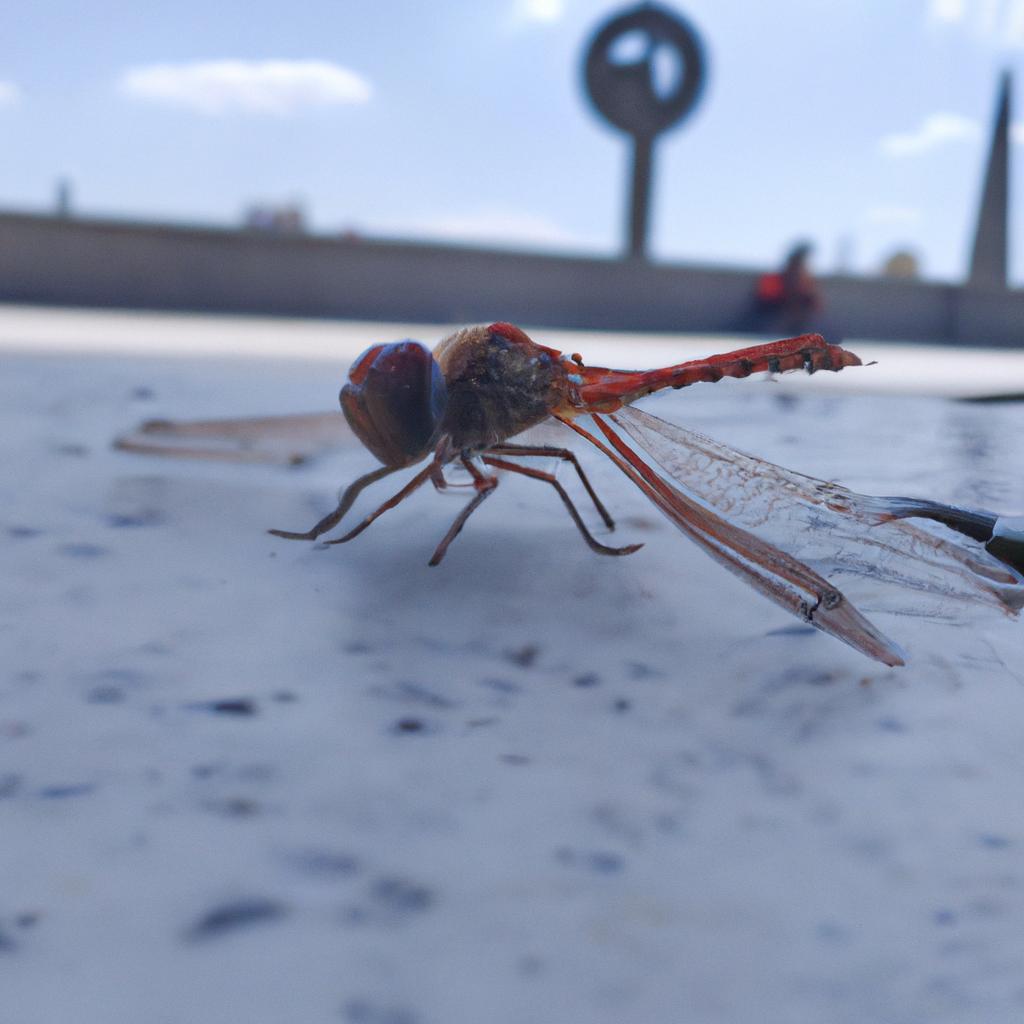 Ruyada Ucaga Binmek Ne Anlama Gelir