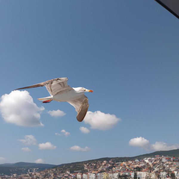 Ruyada Ucagin Alcaldigini Gormek