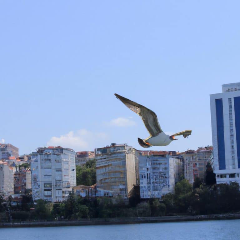 Ruyada Ucak Kazasi Gormek