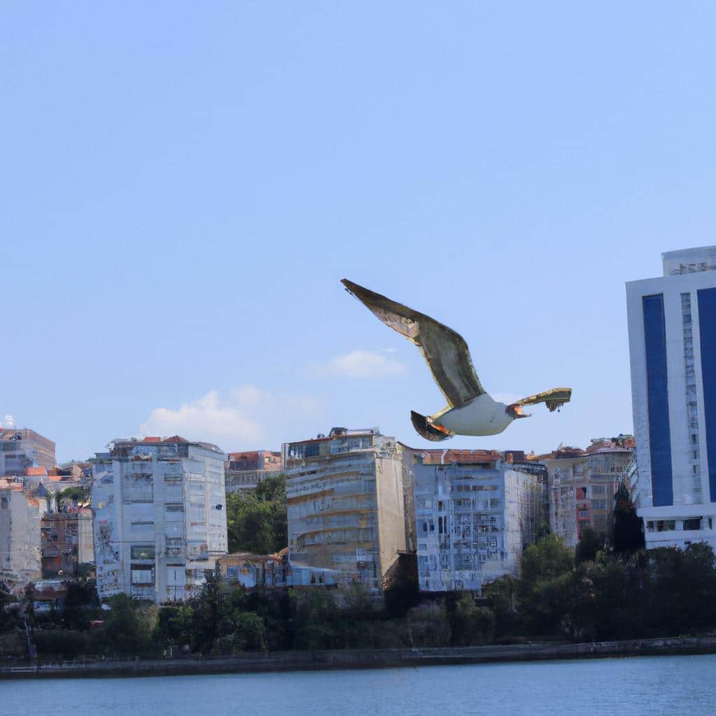 Ruyada Ucak Kazasi Gormek