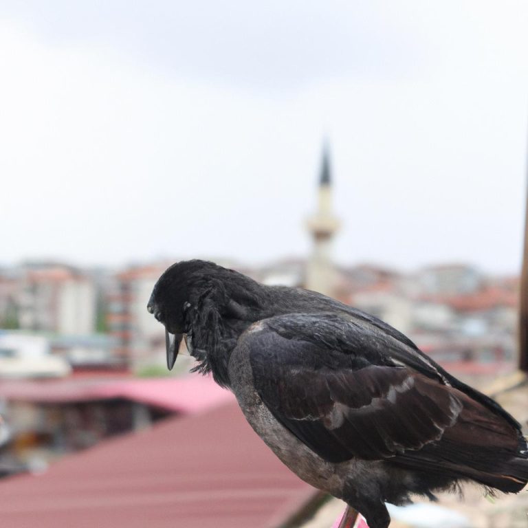 Ruyada Un Gormek Ne Anlama Gelir