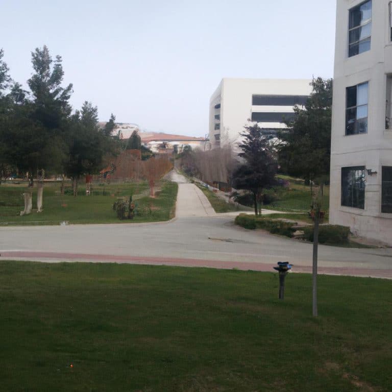 Ruyada Universite Gormek