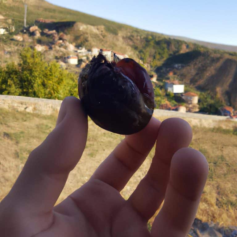 Ruyada Usumek