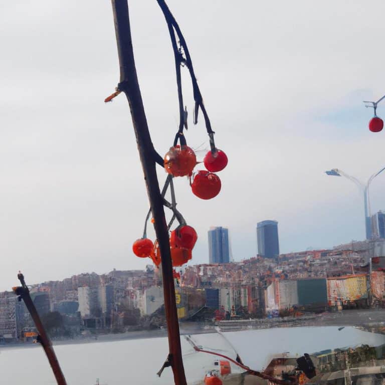 Ruyada Uvey Anneyi Gormek