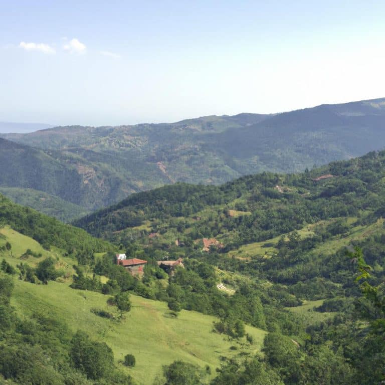 Ruyada Uyumak