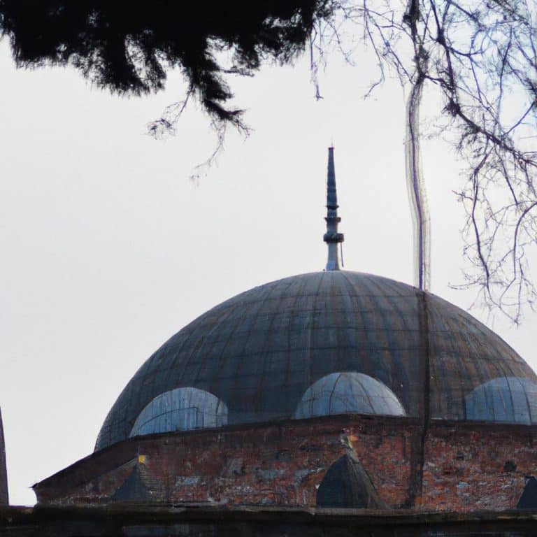 Ruyada Uzum Gormek Diyanet