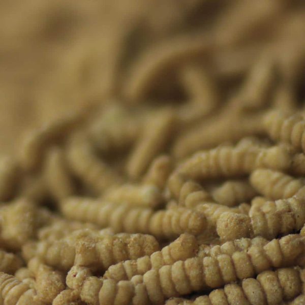 Ruyada Uzun Uzun Isedigini Gormek