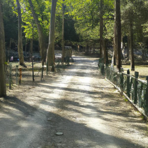 Ruyada Vajinadan Kan Gelmesi