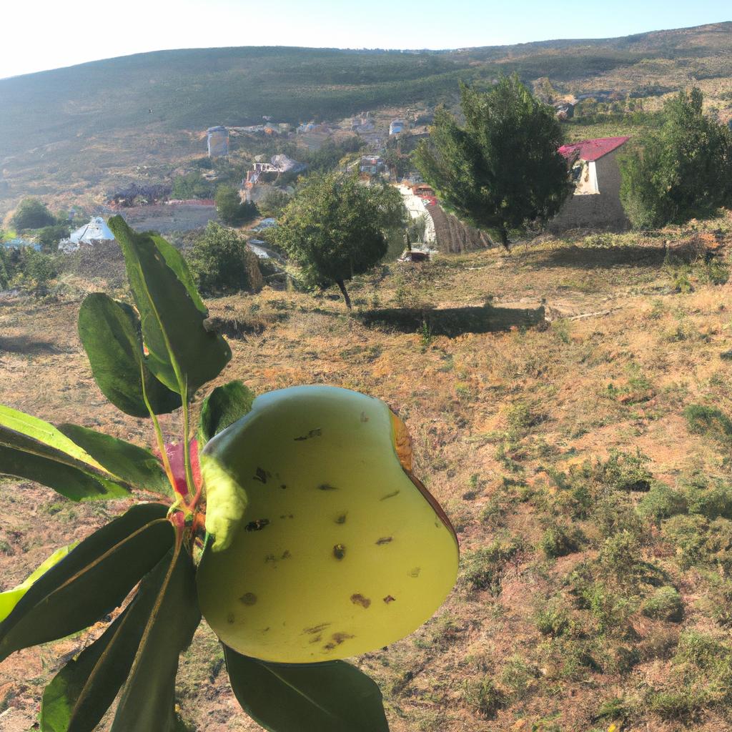 Ruyada Vefat Eden Birini Gormek