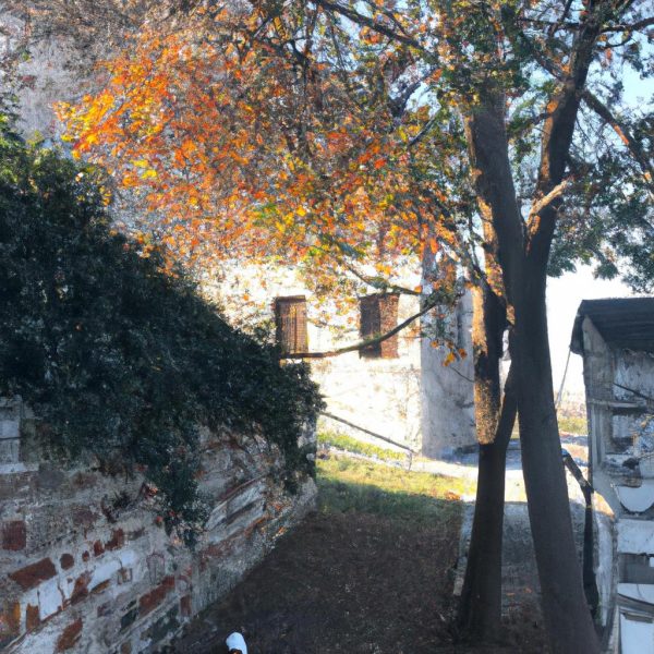 Ruyada Yabanci Ulkede Oldugunu Gormek