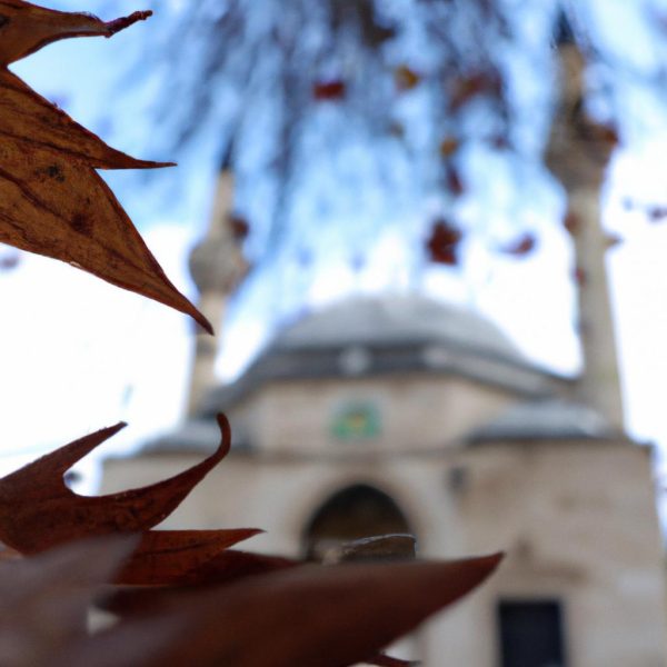 Ruyada Yaprak Sarmasi Gormek Diyanet