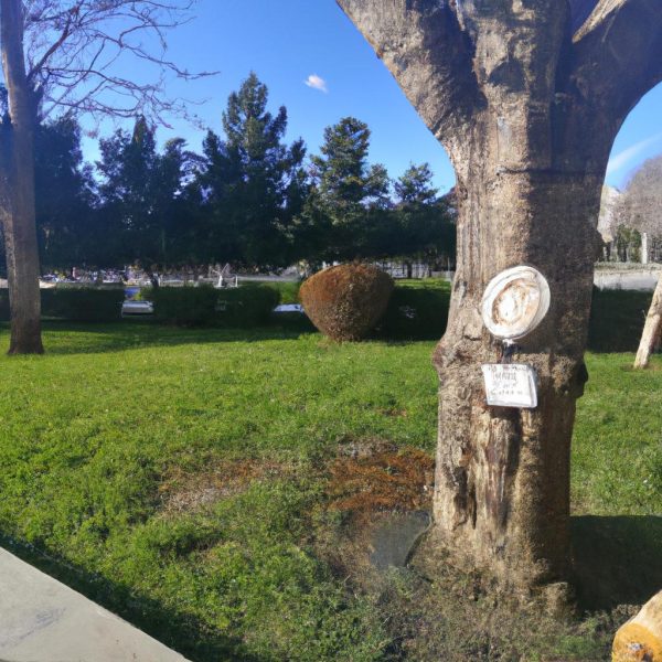 Ruyada Yazili Kagit Gormek