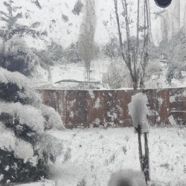 Ruyada Yazin Kar Yagdigini Gormek 1