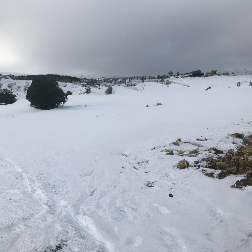 Ruyada Yelek Giyen Birini Gormek