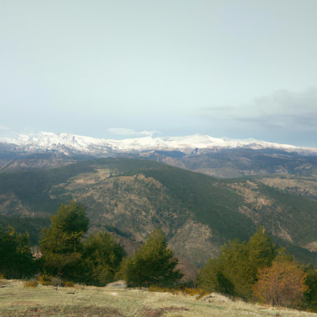 Ruyada Yeni Corap Gormek