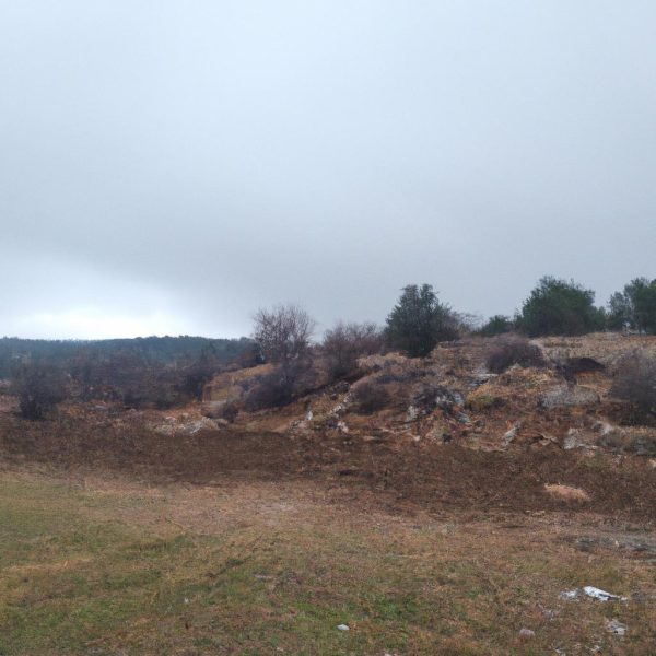 Ruyada Yer Dosegi Gormek