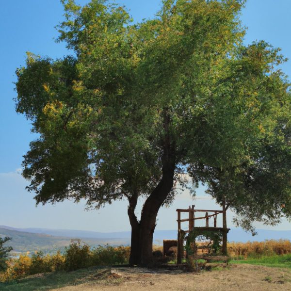 Ruyada Yerde Kagit Para Bulmak