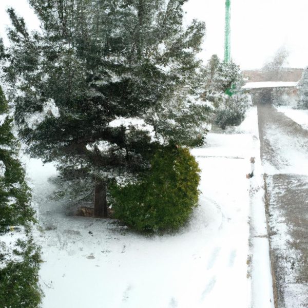 Ruyada Yerde Kar Gormek