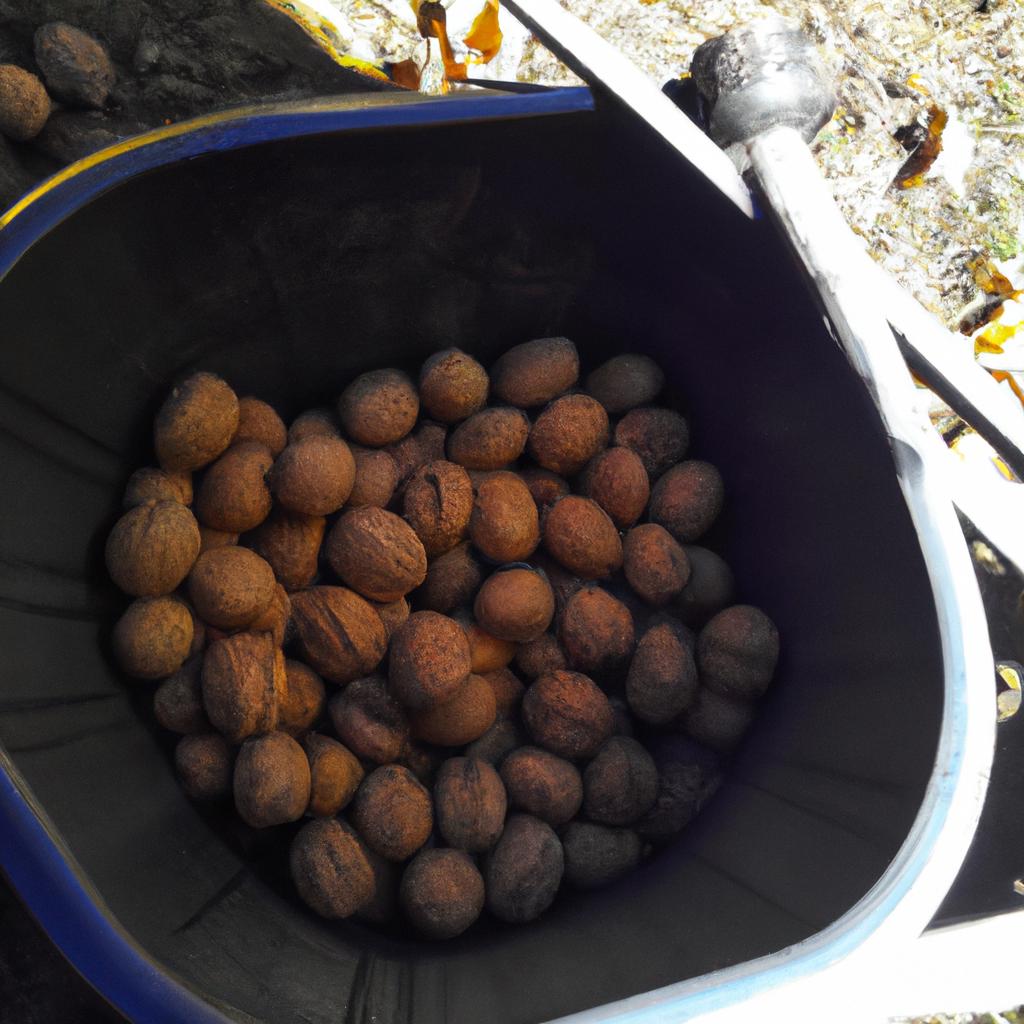 Ruyada Yerden Ceviz Toplamak