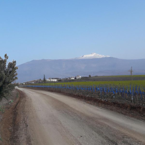 Ruyada Yerleri Supurmek