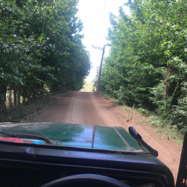 Ruyada Yesil Araba Gormek