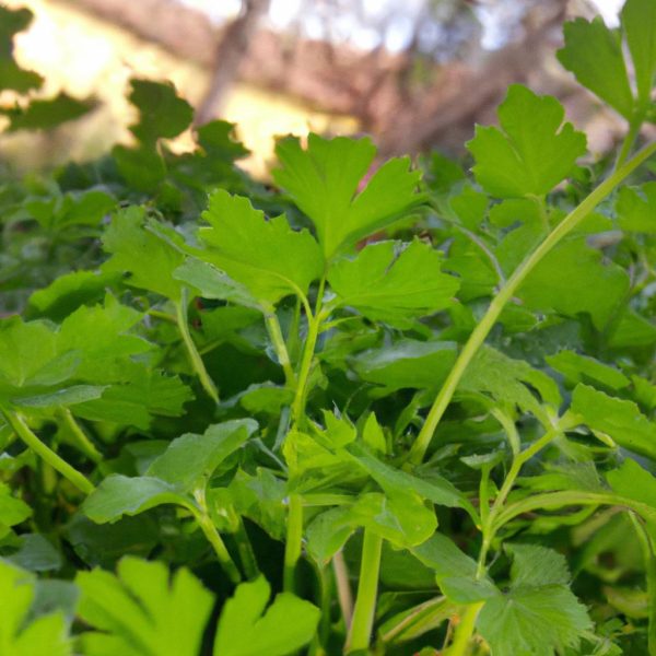 Ruyada Yesil Gomlek Giymek