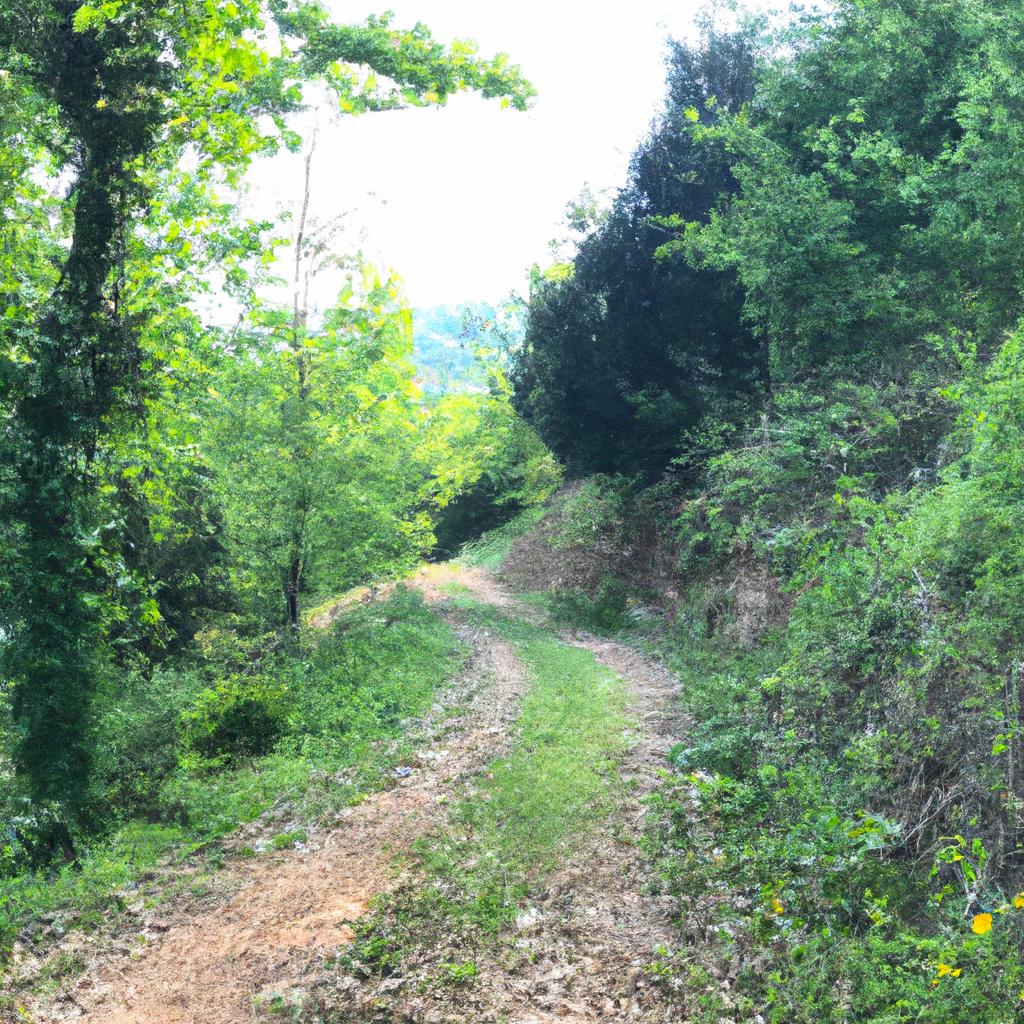 Ruyada Yesillikler Icinde Yurumek