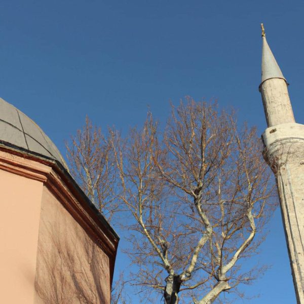 Ruyada Yilan Gormek Ve Oldurmek