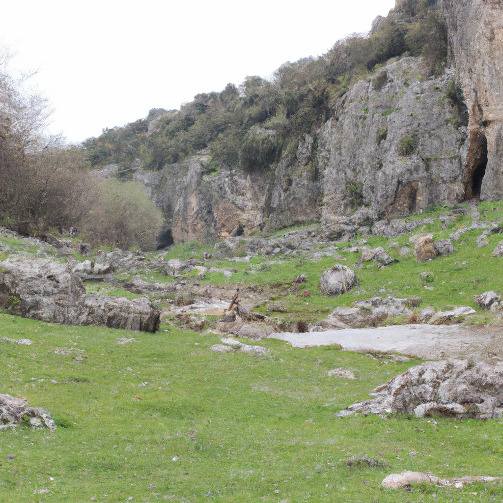 Ruyada Yilan Kovalamasi