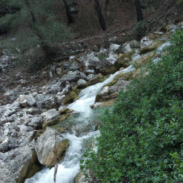 Ruyada Yilan Yakalamak