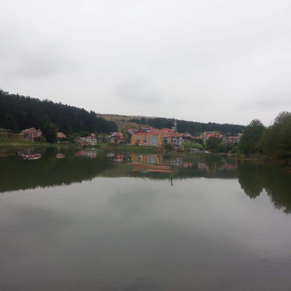 Ruyada Yilandan Kacmak