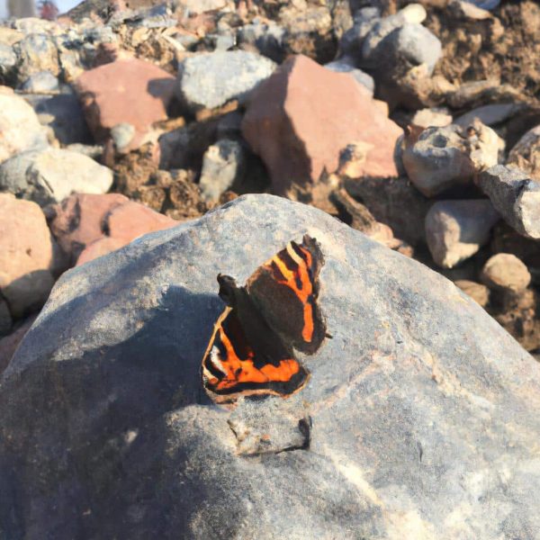 Ruyada Yilanin Isirdigini Gormek