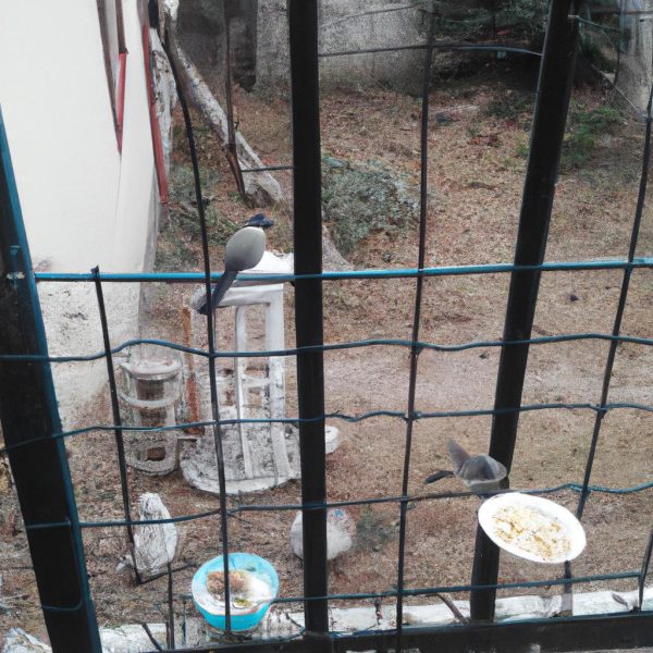 Ruyada Yirtik Para Gormek