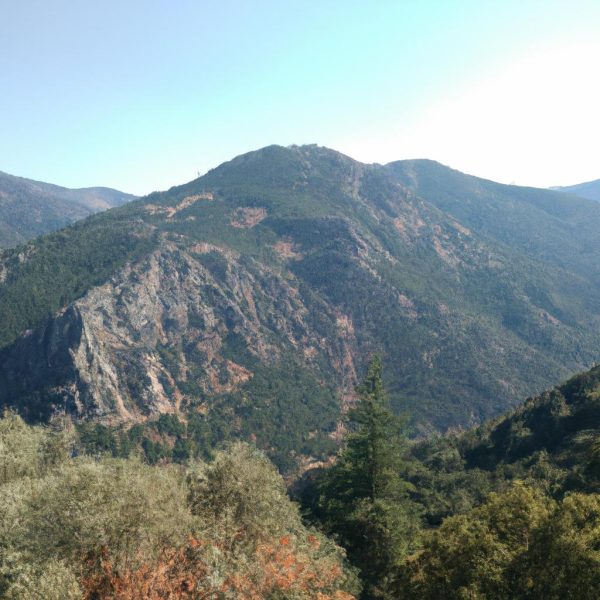 Ruyada Yuksekten Asagi Bakmak