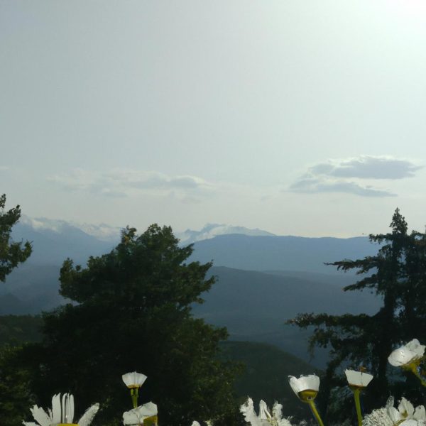 Ruyada Yuksekten Dusen Birini Gormek
