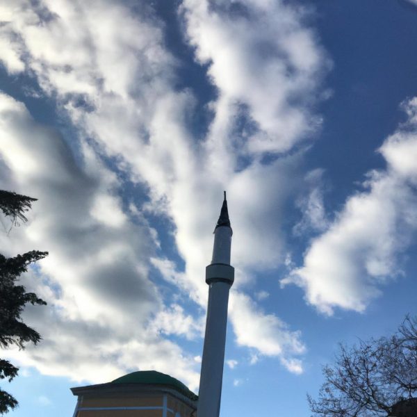Ruyada Yun Yikamak Diyanet
