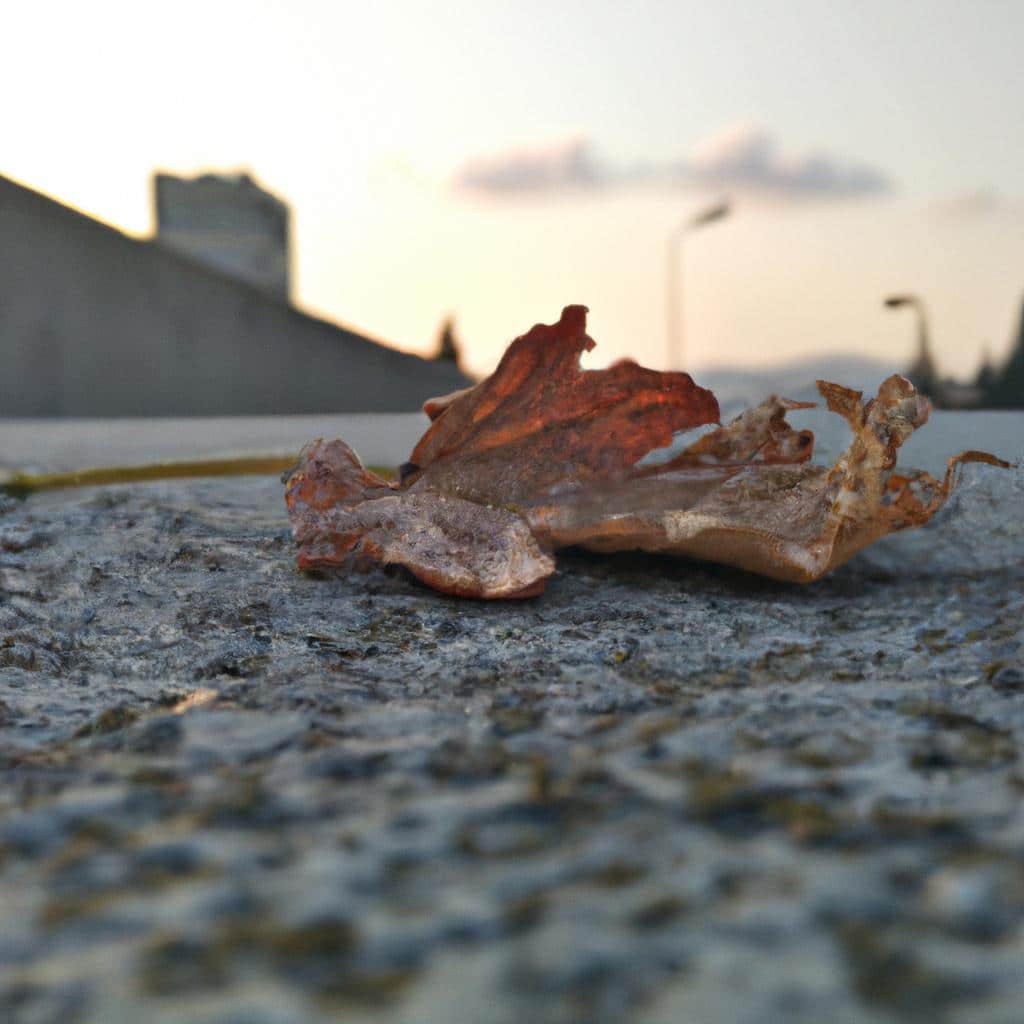 Ruyada Yuzde Kil Gormek